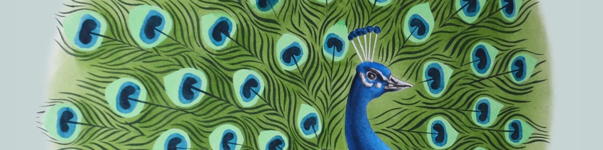 Peacock Header